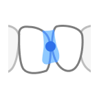 Connectors-Move.png