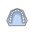 Maxilla View.png