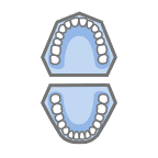 Occlusal Surface View.png