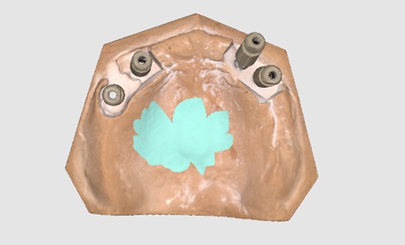 Freehand Selection.jpg