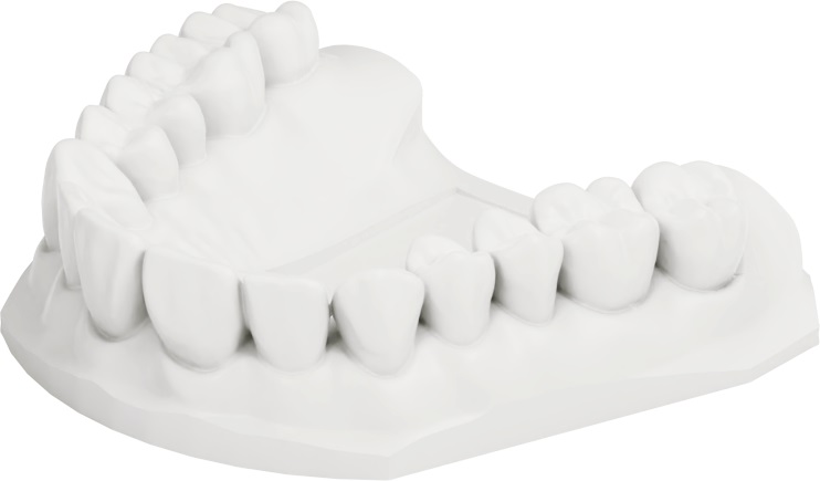 i900_Practice Model.jpg