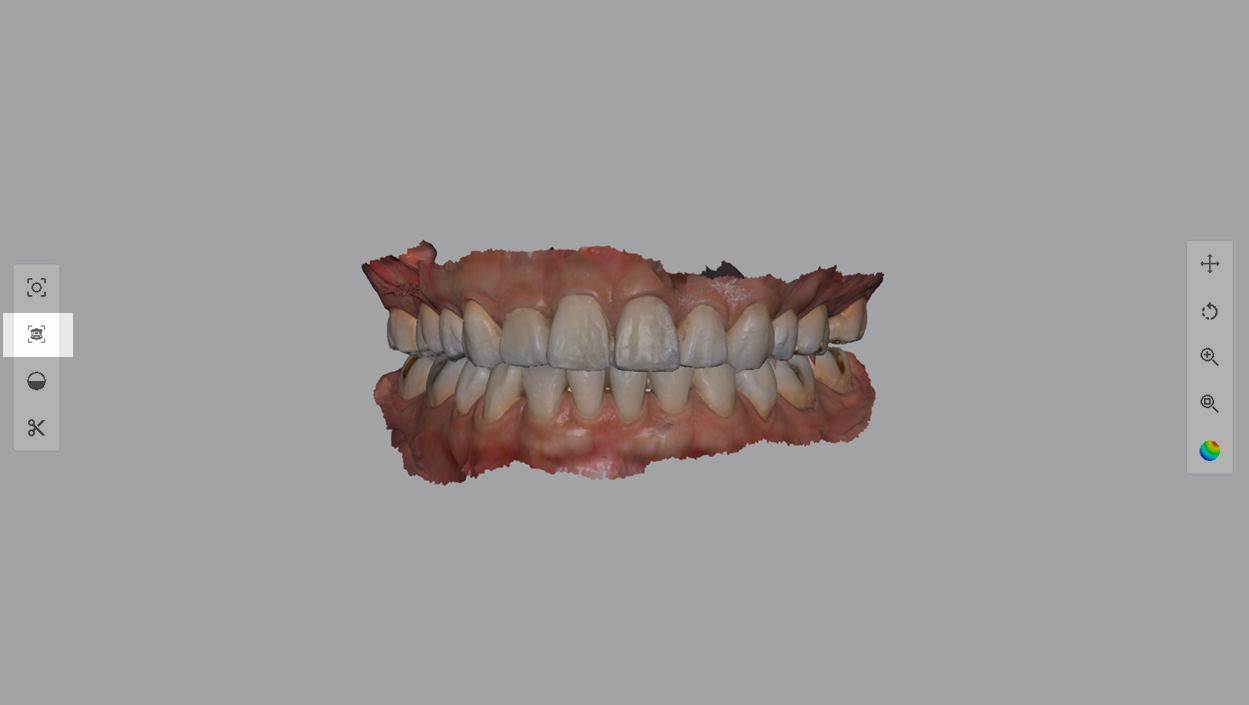 ortho_capture.jpg