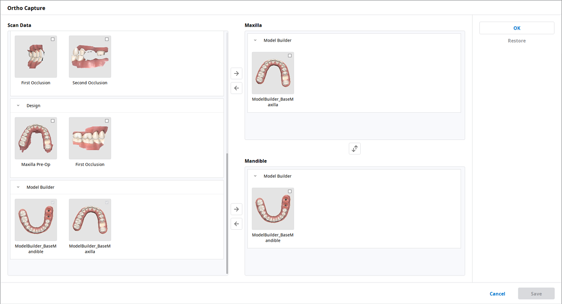 ortho_capture___scan_data.webp