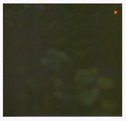 mceclip0.png