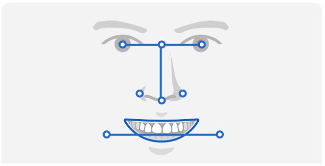 facial_guides.png