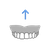 detach_maxilla.png