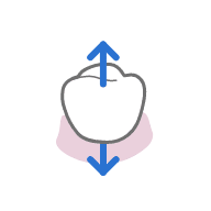 Move along the Occlusal Direction.png