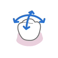 Rotate around Lingual Buccal or Mesial Distal Direction.png