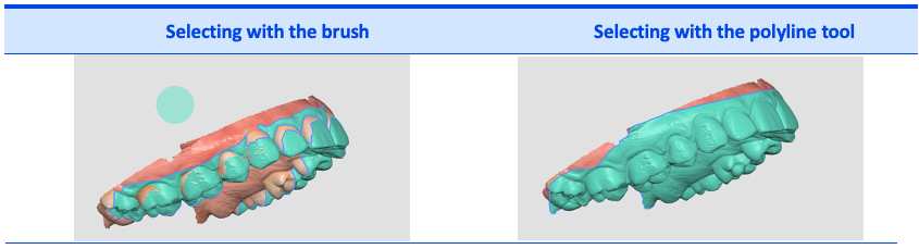 3._with_the_brush_or_polyline.png