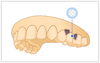 process_data_as_it_is.png