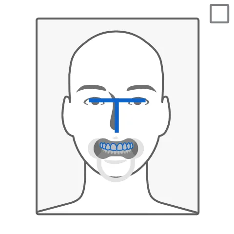 Template Portrait.webp