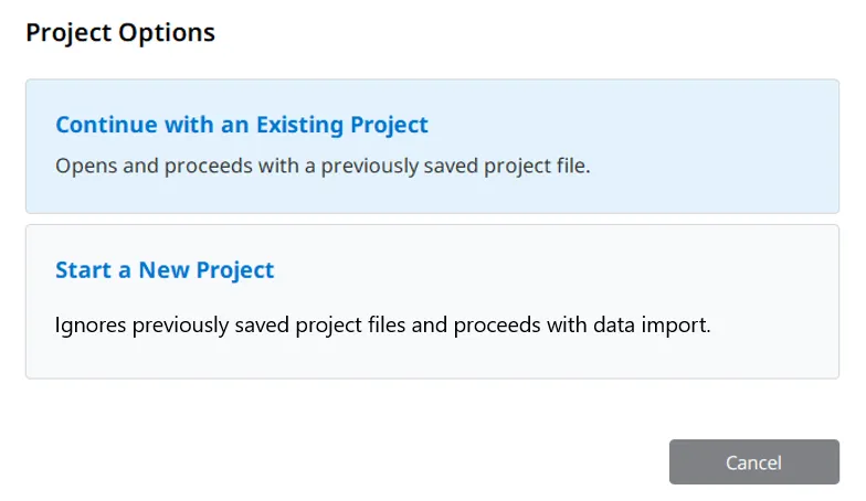 project option.webp