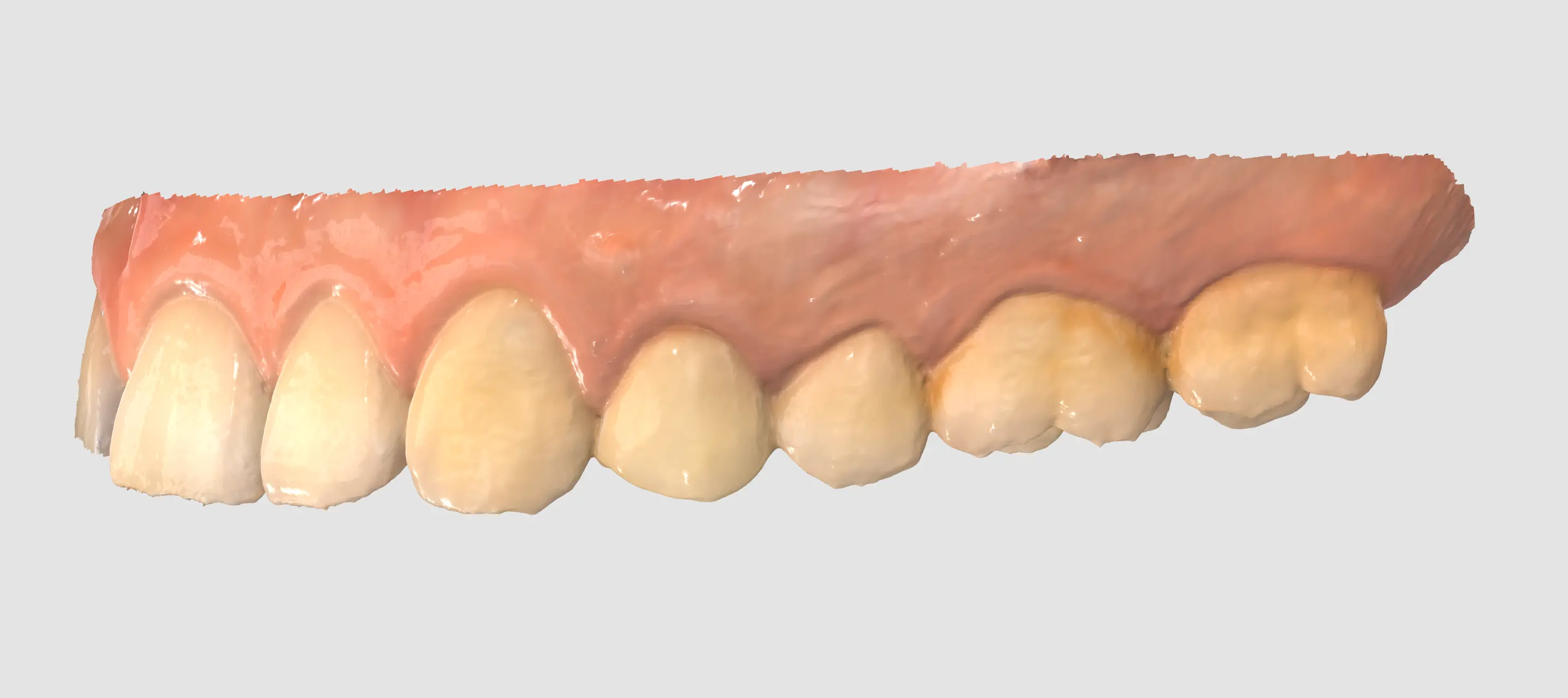 Glossy 1.webp