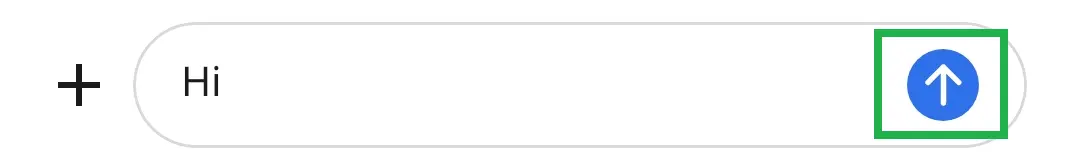 1 1 chats 5.webp