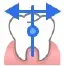 Tooth Orientation.webp