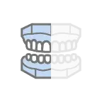 Right Lateral View.webp