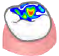 Occlusal Relationship.png