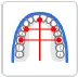 Arch Form Selection.webp