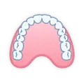 ViewDirectionEventMaxilla_Large.webp