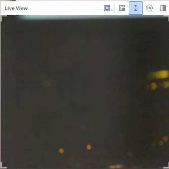 Scratch 2.webp