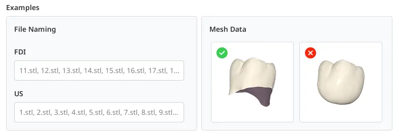Custom Teeth Library Module.webp