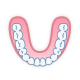 Occlusal Surface (Mandible).png