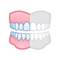 Left Lateral.png