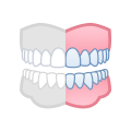 Right Lateral.png