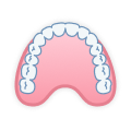 Occlusal Surface (Maxilla).png