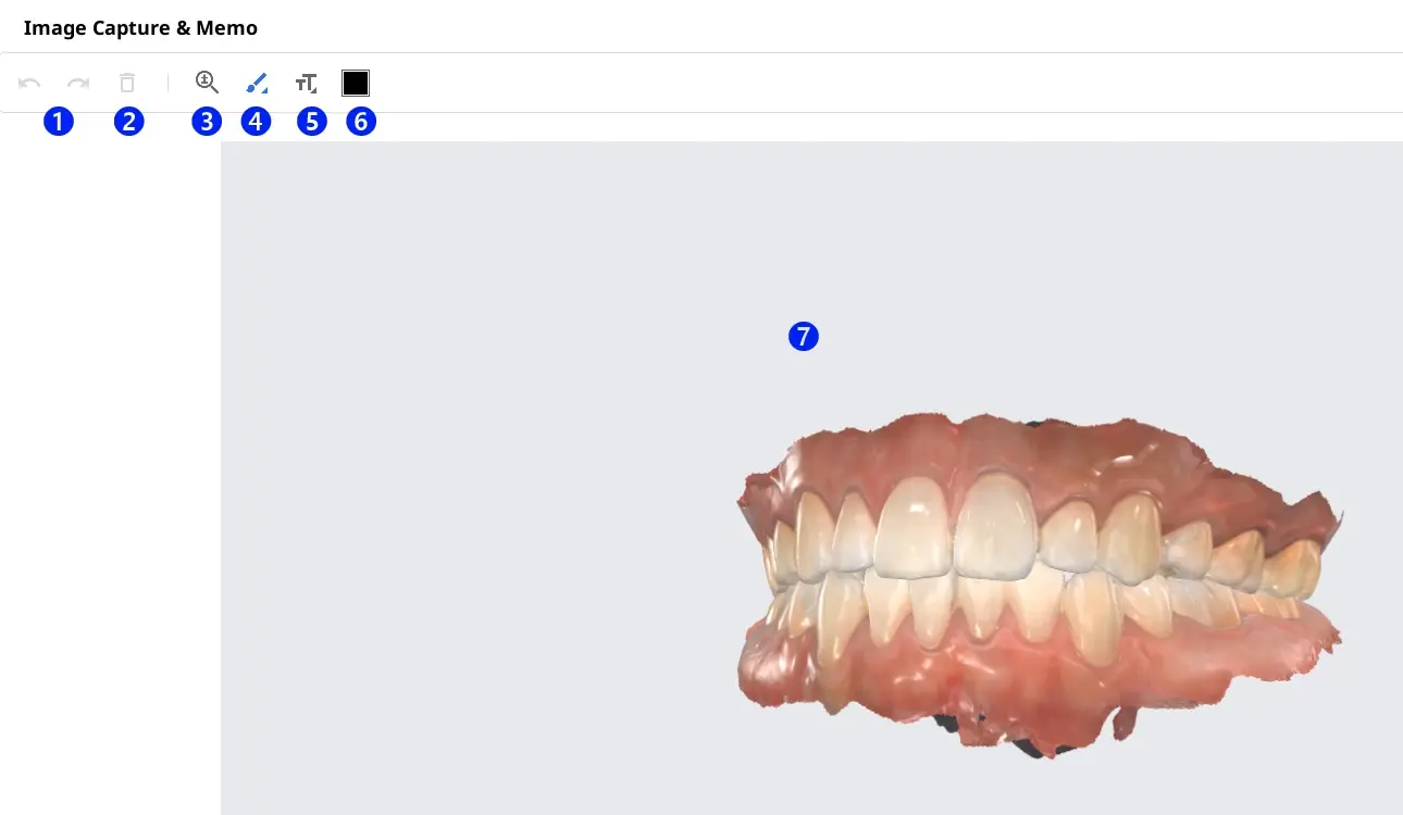 Capture and Memo.webp