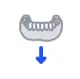Clear Mandible.webp