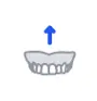 Clear Maxilla.webp
